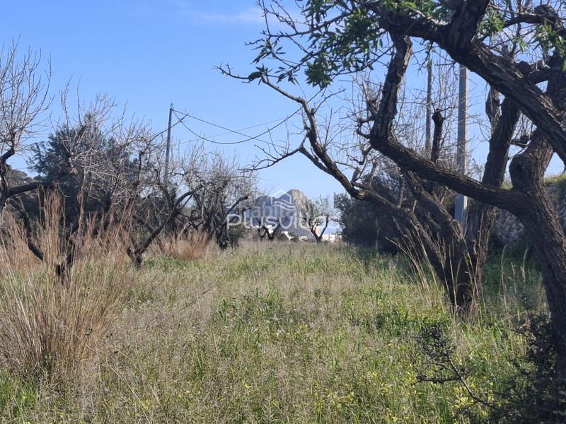 Foto 03a7ba6a-93df-488c-b4cc-571473bcbab2. Residential plot in Benissa pueblo Benissa