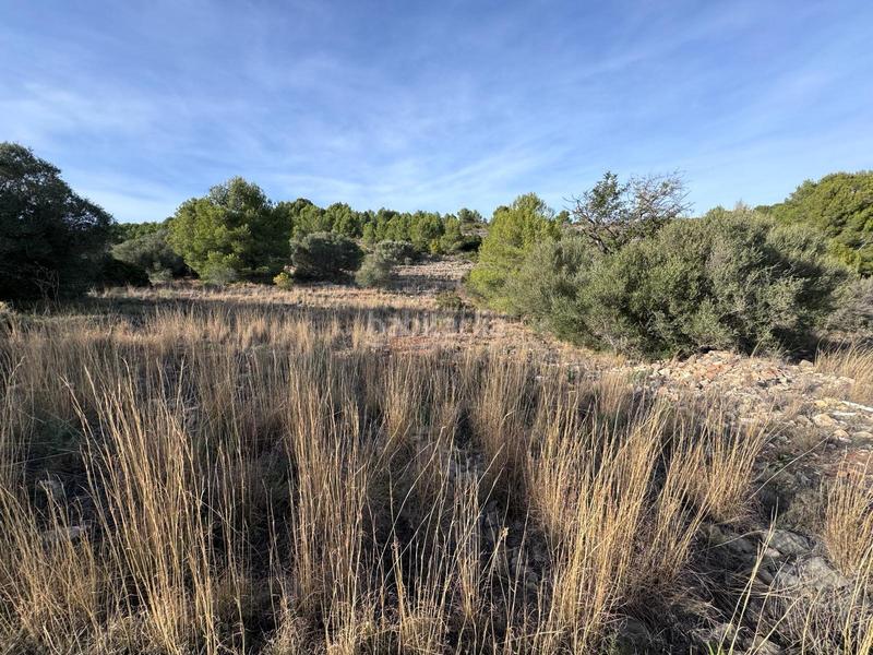 Foto 019d230e-d12a-49ea-babf-cf69fb9ab6d9. Terrain résidentiel dans Benissa pueblo Benissa