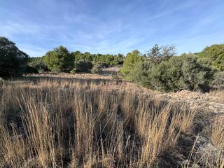 Wohngrundstück in Benissa Pueblo