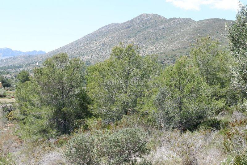 Foto 6c9f1586-53dd-4f40-a598-154bfb234112. Wohngrundstück in Benissa pueblo Benissa