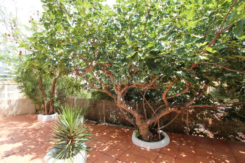 Foto 9c07ddb8-2818-480d-938f-b07cbfb086d5. Maison dans Manzanera-Tosal Calp