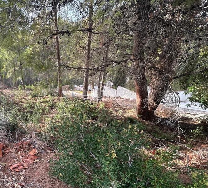 Foto 48eb0c43-8370-4fbf-a1c8-b1e87c8e08fa. Wohngrundstück in Altea la vella Altea