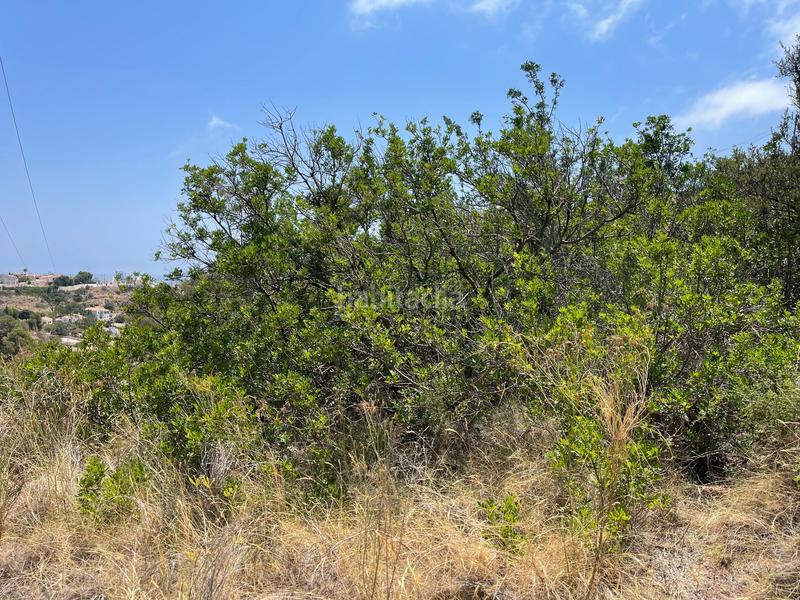 Foto f99c2cee-18d4-404c-8283-223ff7196083. Terreno residenziale in Pueblo Calp
