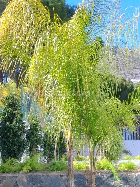 Foto 5d3072ed-9c6e-49f5-8084-17907dc0a180. Casa en Altea ciudad Altea