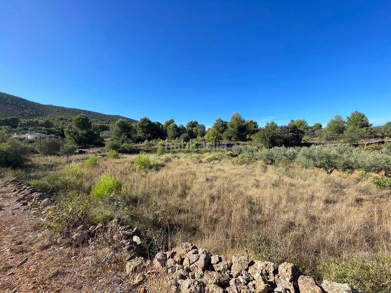 Foto 06b1ff1f-9c1d-46ef-a81e-f2e93b391c17. Terreny residencial a Benissa pueblo Benissa