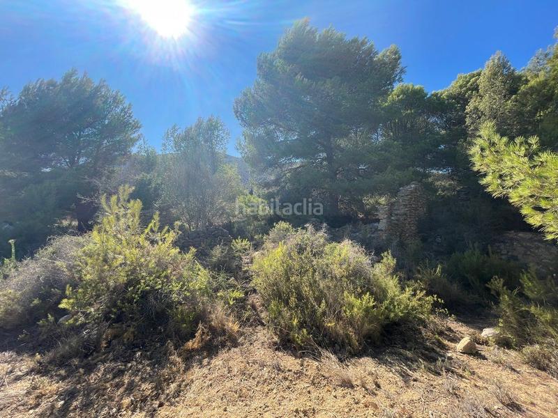 Foto 97c9fdf9-17ca-4134-9edc-24afc5e414a8. Terreny residencial a Benissa pueblo Benissa