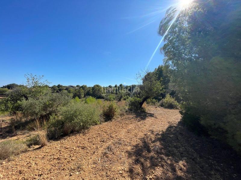 Foto 462ae50e-680f-4dd2-b3c8-a13aa68cc143. Terrain résidentiel dans Benissa pueblo Benissa
