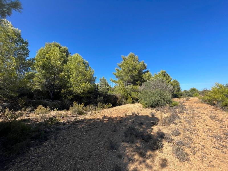 Foto 8e8911ff-3c37-4870-a4bf-f4fcb280de5f. Terrain résidentiel dans Benissa pueblo Benissa