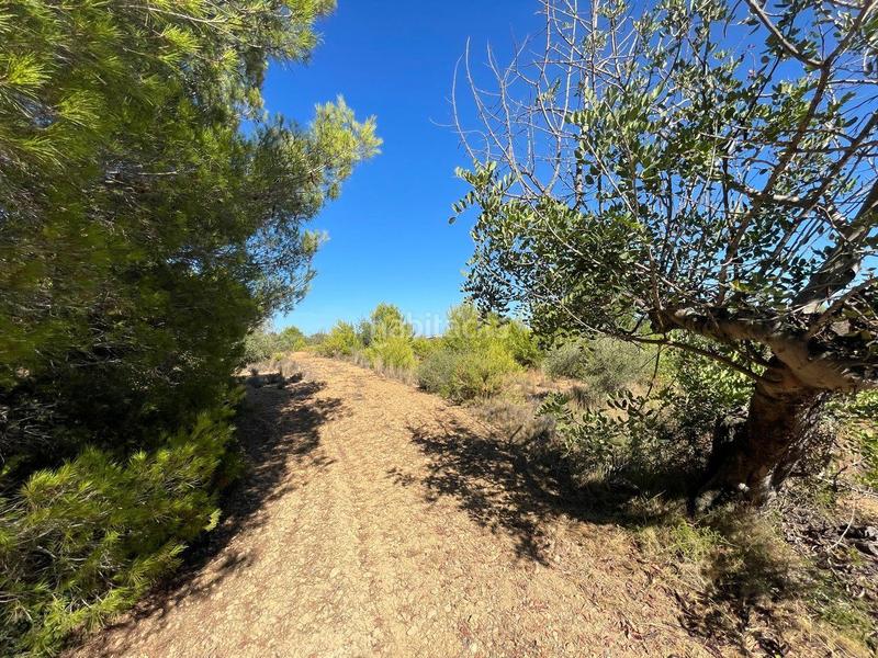Foto ccba07bc-f245-4fef-9e29-d4b05246e231. Terrain résidentiel dans Benissa pueblo Benissa