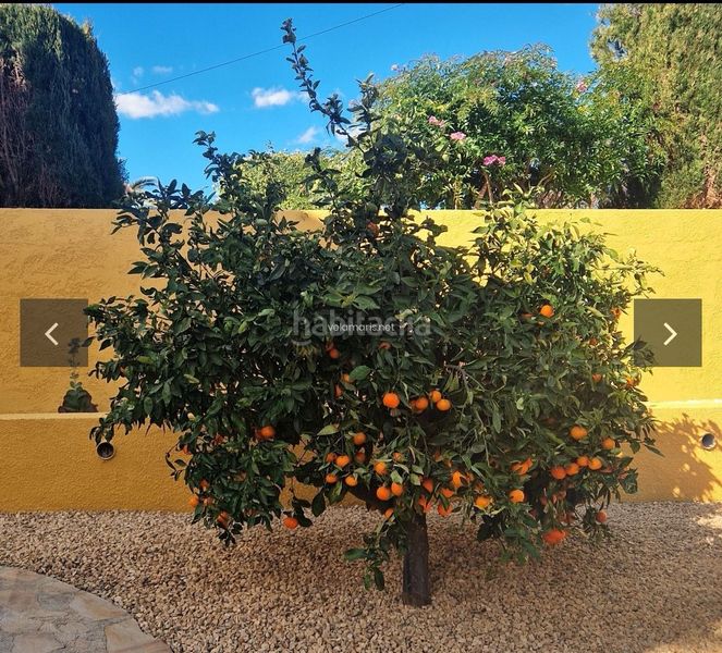 Foto b1e2a07d-7348-4d93-8f26-5ba05f8f054b. Casa a Pueblo Calp