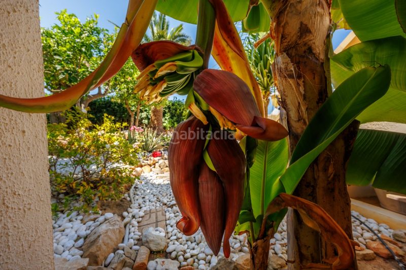 Foto f0b29ce2-2edf-4149-b265-7d3aabf245bd. Casa a Centro Urbano Dénia