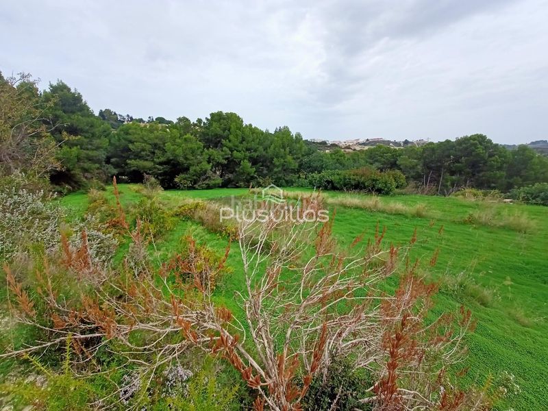 Foto 2dc368fc-0e1d-4343-bd72-7b0ca2a4539c. Terreny residencial a Benissa pueblo Benissa