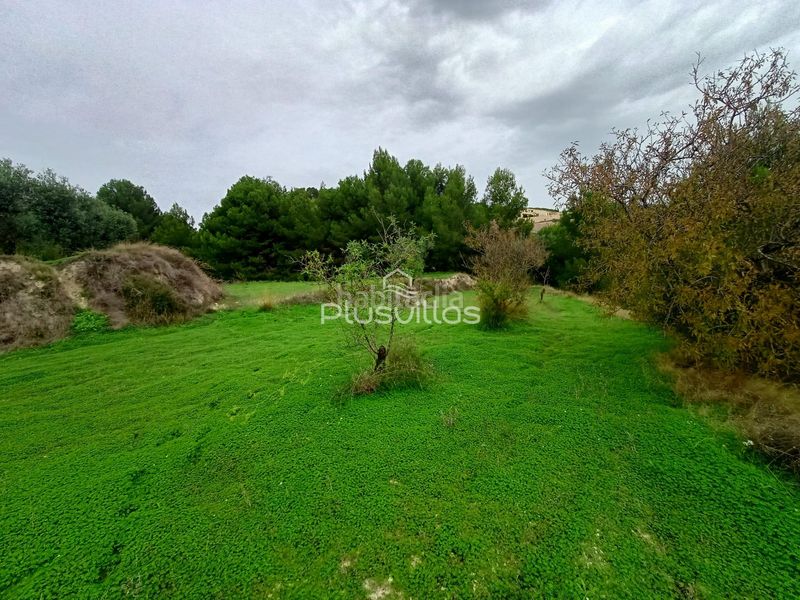 Foto 9a141d2c-2904-4c5d-af3b-597a2e905871. Terreny residencial a Benissa pueblo Benissa