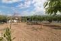 Ampliar foto ffb44f6d-7846-4262-9a90-abb995ab3888.jpg