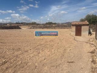Finca rústica a Novelda. Terreno en novelda  4800m2  agua de riego