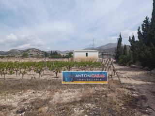 Finca rústica a Novelda. Terreno novelda  14.334m2  agua de riego