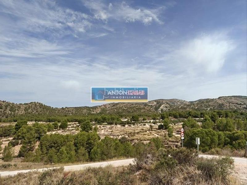 Foto d192162a-010c-4437-a267-006b6b5b5a83. Masia a Petrer