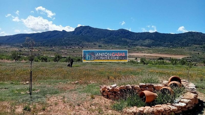 Foto ac86e08d-d2a2-490b-964d-0c0a658c309f. Finca rústica a Romana (la)