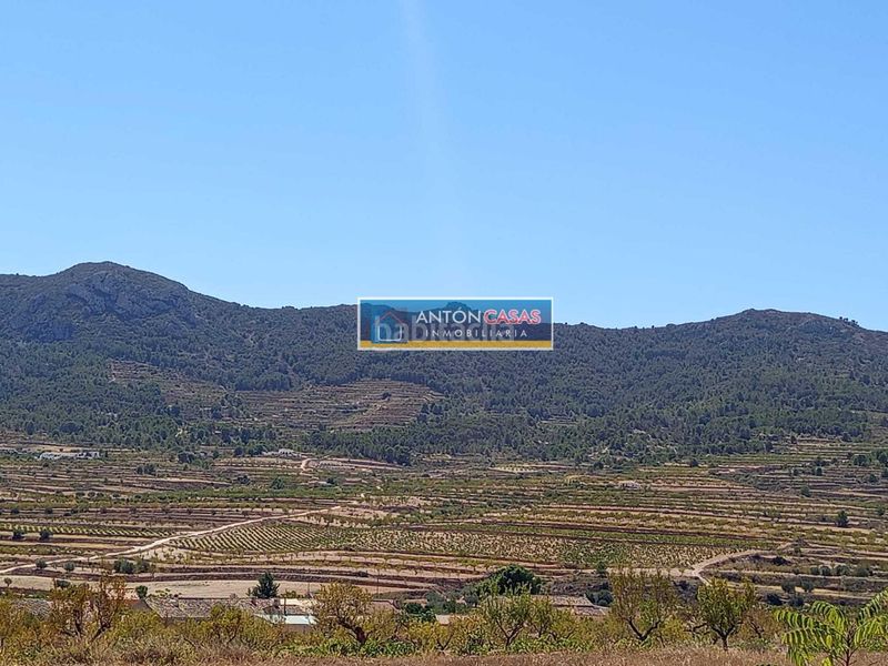 Foto ad77e4f7-1189-490b-ae88-c8303e8bd20a. Finca rústica a Romana (la)