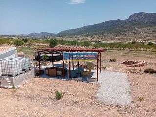 Finca rústica a Romana (la)