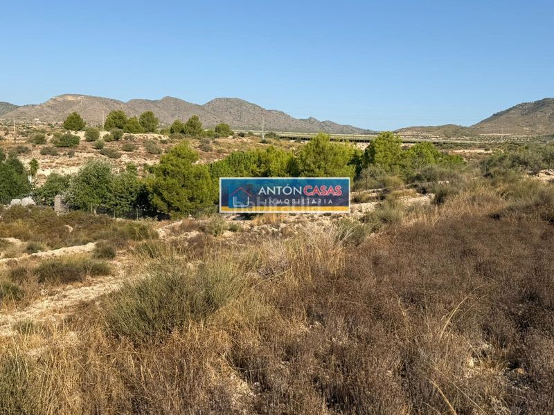 Foto 3d075e82-66c2-4d5e-96e2-45dabb907154. Rural plot in Novelda