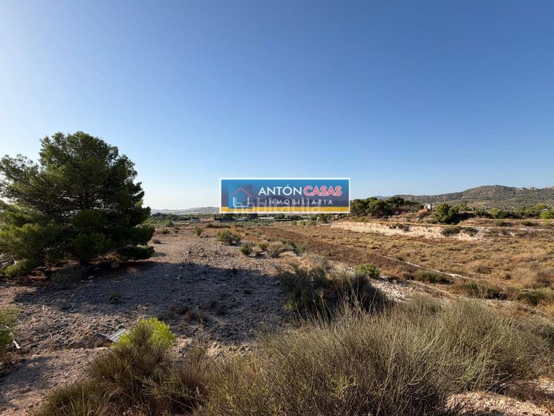 Foto 42c8fc71-d9c3-4d38-b09b-9ec6a80c5e61. Rural plot in Novelda