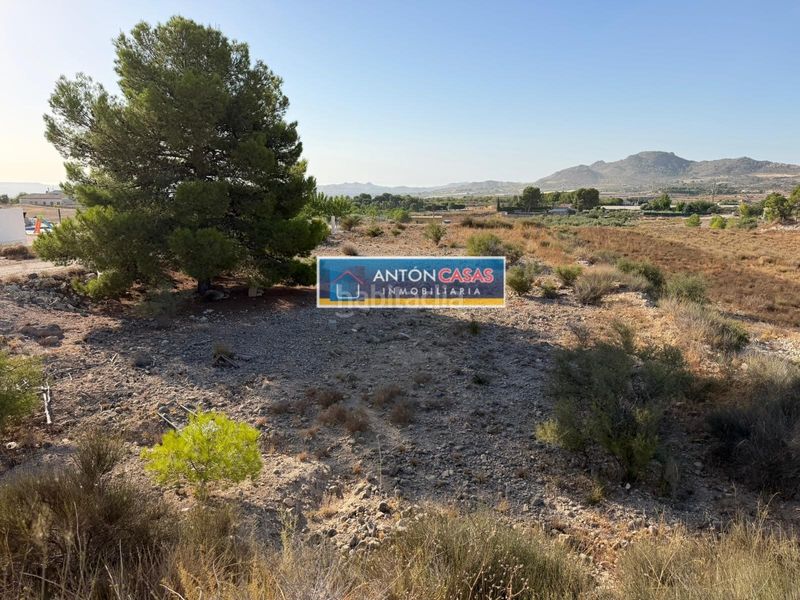 Foto 4867e55a-3268-4d9e-b3f3-837a7198be1c. Rural plot in Novelda