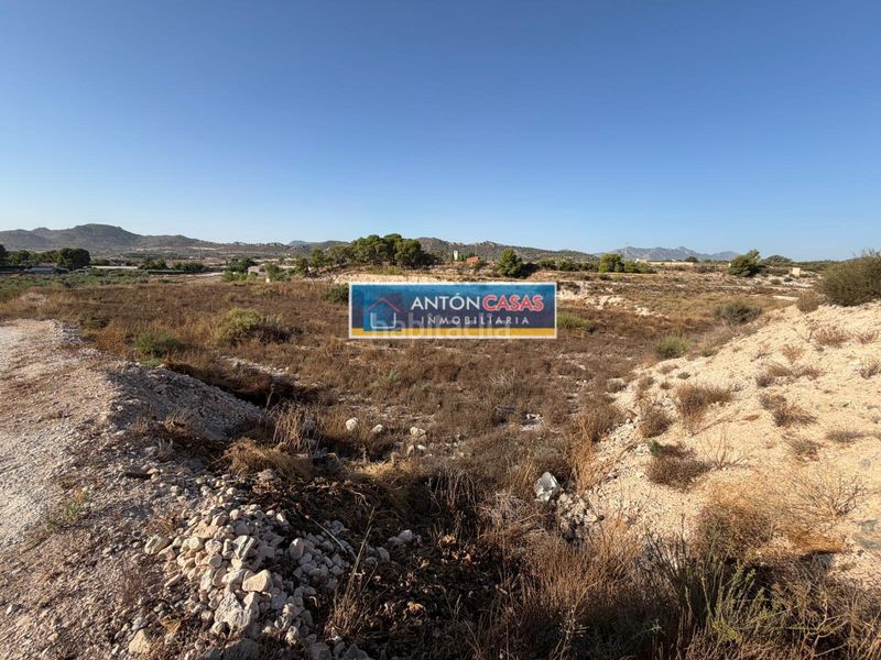 Foto 517026c7-bd96-4461-9a2c-1e319fd744c0. Rural plot in Novelda