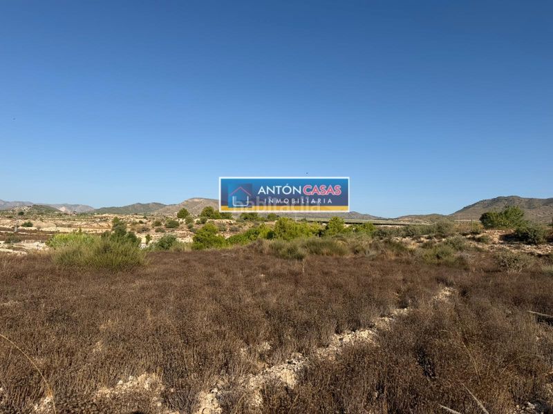 Foto 6ed62e5c-ee2c-4b75-b929-9fb041b36ecc. Rural plot in Novelda