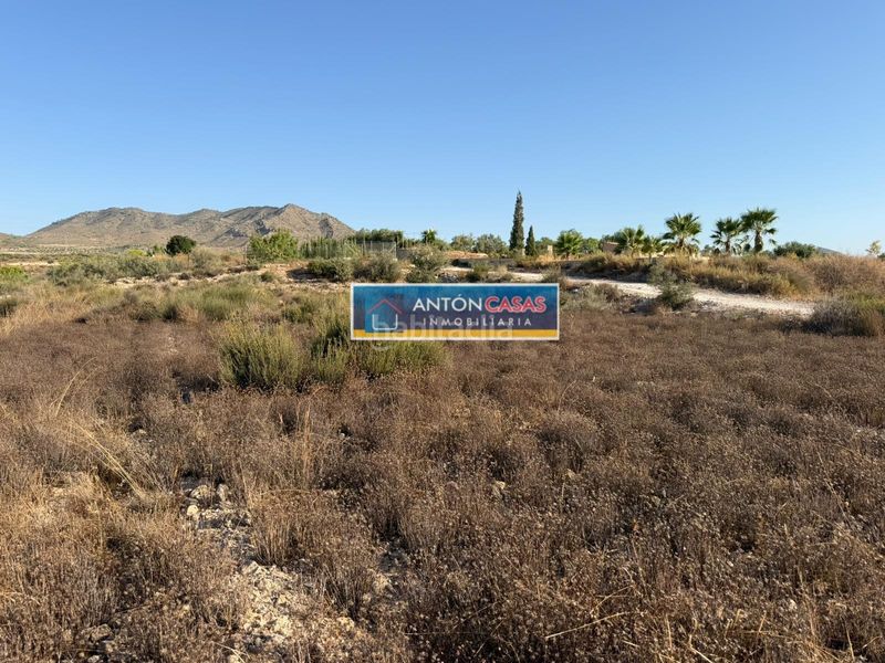 Foto 7dbcaea1-6b81-437d-9e98-c990d5e18284. Rural plot in Novelda
