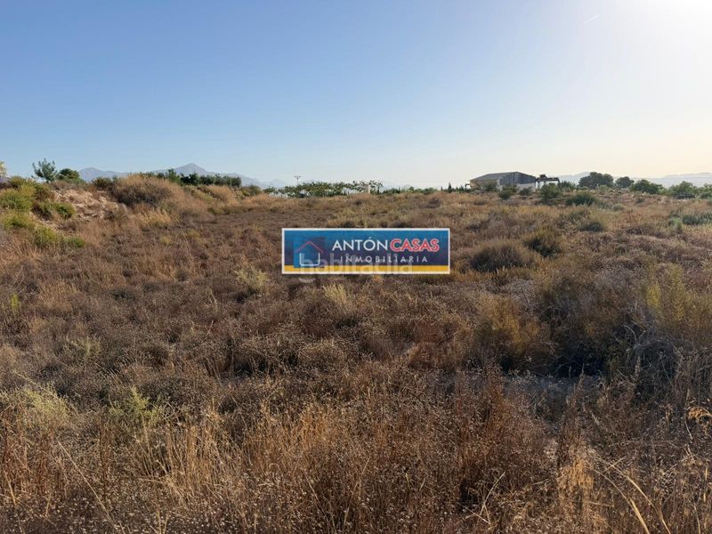 Foto b5c67041-6e54-4c41-bf60-8e8a1bfe35d7. Rural plot in Novelda