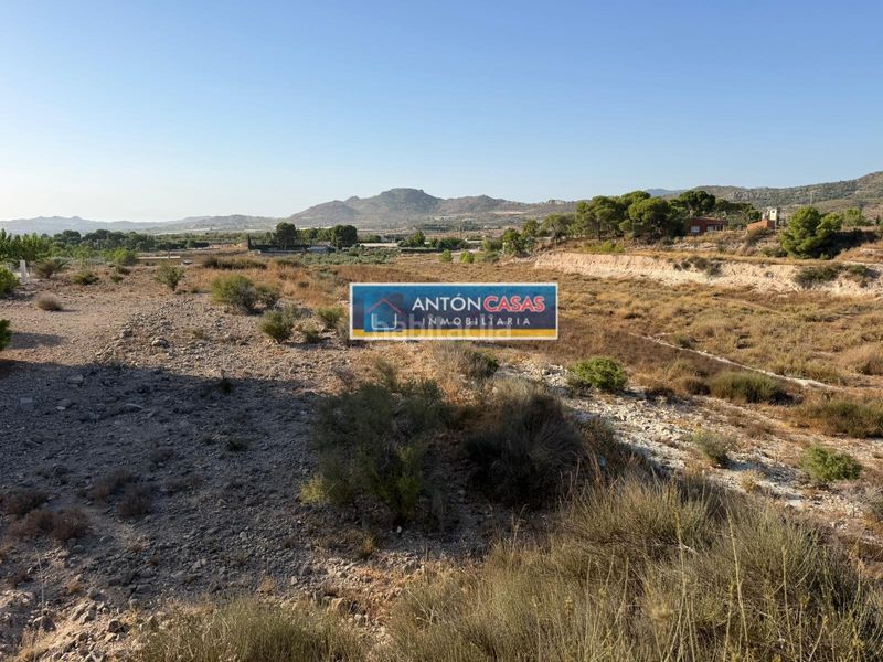 Foto c28c5d22-3804-483a-9280-8be9ad9bb763. Rural plot in Novelda