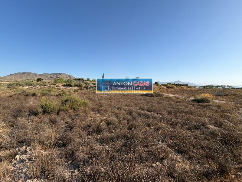 Foto f93a28f7-52ea-473d-b2a0-5545431c3cc5. Rural plot in Novelda