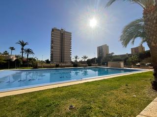 Lloguer Estudi a Aguadulce Sur. Estudio en alquiler en aguadulce sur