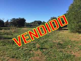 Residential Plot in San Román de los Montes