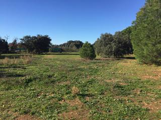 Residential Plot in San Román de los Montes