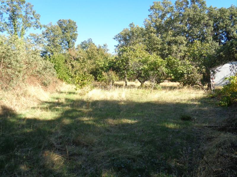 Foto 7af13702-67c9-4261-b282-028c5cfc2656. Chalet with fireplace parking pool in Navamorcuende