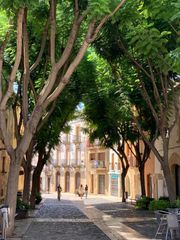 Edificio en Centre. Edificio completo 1881 · casco antiguo torredembarra · 530 m² ·