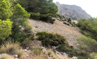 Terrain résidentiel  Calle gran bretaña. Solar en venta en calle gran bretaña, 03590, altea alicante