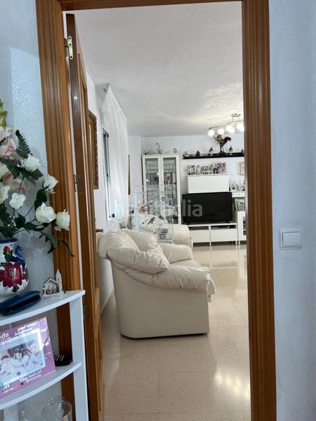 Foto 25ad5254-504e-4457-8b34-ae5e317e22ab. Àtic a Colonia Madrid Benidorm