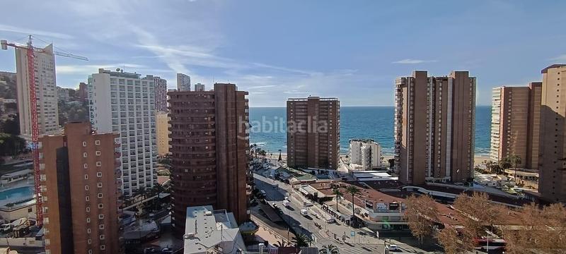 Foto f4a361d9-a014-43e2-b44f-fc3fd2d498fe. Piccolo appartamento con parcheggio piscina in Rincón Alto Benidorm