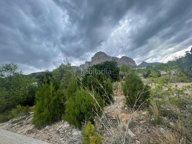 Foto ee2dd834-7041-4c6a-a5ae-d442abb406ea. Terreno residencial terreno en venta en polígon pau número 1 parcela 9 en Polop