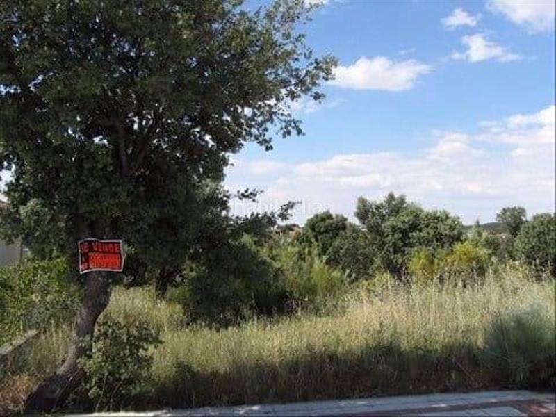 Foto ecedd6be-fd0e-4704-b986-d8996e02e57b. Terreno residenziale in Maello