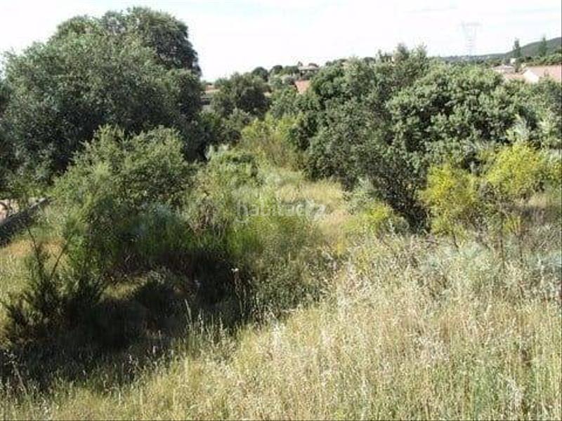 Foto f11960f0-9319-4668-8cc9-dc7a73e9cb5c. Terreno residenziale in Maello