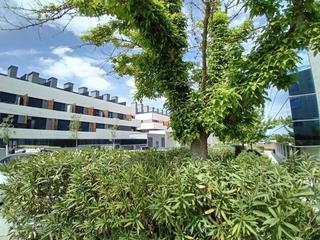 Alquiler Planta baja en Polígono Industrial-Norte. Loft en san sebastián de los reyes