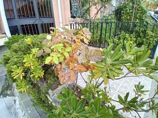 Appartement  Calle limon verde. Descubre tu nuevo hogar en algete un piso listo para entrar a vi