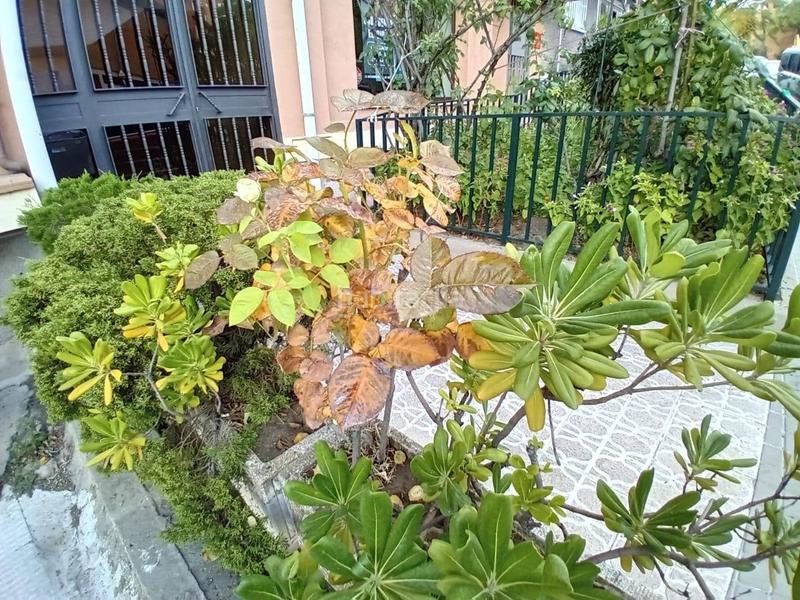 Foto 9920ab56-9506-497b-b6b5-56fb0114d83e. Piso descubre tu nuevo hogar un piso listo para entrar a vivir! en Algete