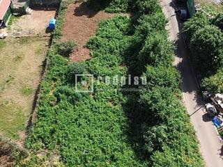 Gewerbliches Grundstück in Sauzal (El). Predpiso pone a la venta terreno rustico