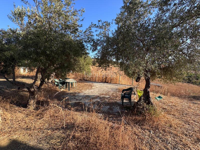 Foto 43f68c9c-8cf0-4f15-a21e-fd4407c27255. Casale in Pizarra