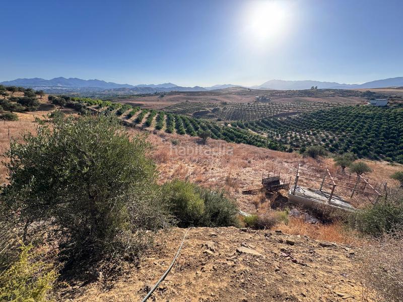 Foto 5c796b71-040d-4fd5-afcb-9342c57a5cbd. Casale in Pizarra